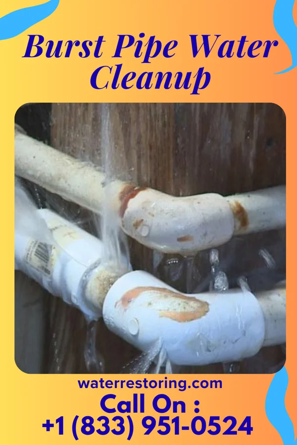 Burst Pipe Water Cleanup in Brooksville, KY