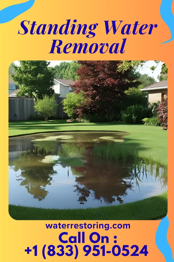 Standing Water Removal in Brooksville, KY